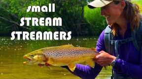 Fly Fishing Streamers on Small Trout Streams - Tips & Tactics of Drawing Trout to Small Streamers