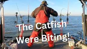 The Catfish Were Biting!
