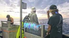 Offshore Fishing - Episode 12 - Heading back to Ulladulla with some big Swordfish