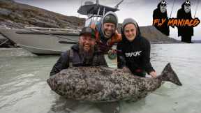 Incredible week of fly fishing for halibut in Sørøya l Flymaniacs Niklaus Bauer & Paolo Pacchiarini