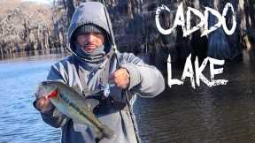 Fishing CADDO LAKE For Schooling Bass! (FOUND THEM)