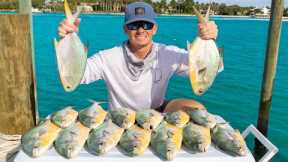 Florida's Most EXPENSIVE Fish...Here's Why! Catch Clean Cook (Florida Pompano)