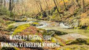 Winter Fly Fishing: Euro Nymphing vs. Indicator