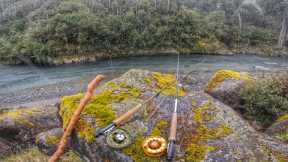 FLY FISHING Amazing Water for WILD Trout [New Zealand]