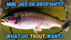 Trout Fishing: Mini Jigs Vs Double Dropshot - Hesperia Lake