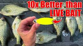 this New Lure OUT FISHES Live Bait 10 to 1!!! (BEST Crappie & Bass Winter Bait)