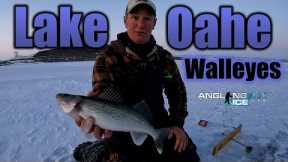 Ice Fishing Lake Oahe Walleyes