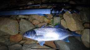 UK SEA BASS FISHING AT NIGHT USING  SOFT PLASTIC LURES!!