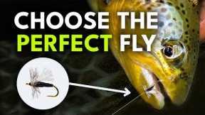 How to Pick the Right Fly Fishing Flies | Module 5, Section 2