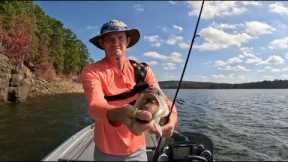 November Bass Fishing At A Secluded Arkansas Lake