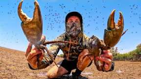 SURVIVING Remote Australia - GIANT CRABS Catch and Cook (Millions of Flys)