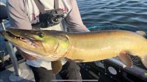 LOST EPISODE- FISHING NEW MUSKY WATERS - AMAZING FOOTAGE