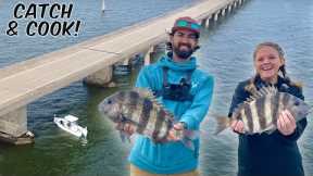 This GIANT BRIDGE Was STACKED with the Ocean’s TASTIEST FISH! — CATCH and COOK Sheepshead!!!