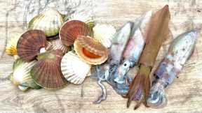 Cornwall in Winter - Fishing, diving and beach cooking | The Fish Locker