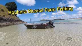 Houhora Mussel Farm Fishing With Nova