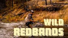 WILD REDBANDS | Fall Fly Fishing & Solar Eclipse Viewing in the Oregon Outback