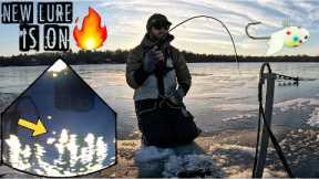 NEW Lure is on Fire for Ice Fishing Crappies!