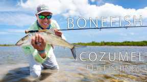 The Thrill of Fly Fishing for Bonefish in Cozumel's Crystal Clear Waters, Mexico #flyfishing