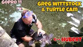 UNDERWATER TURTLECAM & The Pond Guy Swims in our PREDATOR POND
