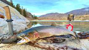 GIANT Trout Catch & Cook! Fishing in WOLF INFESTED Mountains...