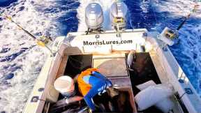 Fishing 50 Miles Offshore for 500 POUNDS of TUNA!
