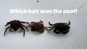 Blackfish favorite baits! Which bait is the pool winner? Captain Lou Blackfish Fishing Trip
