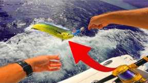 Catching Mahi in 140ft (Catch and Cook)