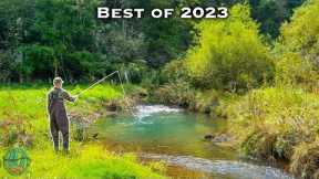 THE BEST FLY FISHING / TROUT FISHING VIDEO! (Best of Compilation - 2023)