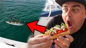 Catch And Cook On A Boat!