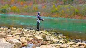 Fishing the NIAGARA RIVER for MONSTER TROUT