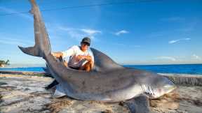 REVENGE on GIANT Bull Shark! Catch Clean Cook!