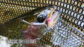 Simplifying Fly Selection (Fly Fishing) Part 1: Truth Bombs