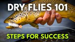 Beginner's Guide to Dry Fly Fishing — 6 Steps to Success! | Module 6, Section 2