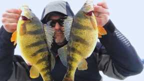 Ice Fishing Lake Cascade JUMBO Perch - Where and How to Find The GIANTS