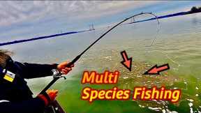 A fishing BAIT that catches MULTIPLE SPECIES of FISH for FUN or DINNER on ANY LAKE !!!