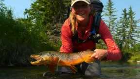 Breaking Down a TINY Brown Trout Spring Creek - PART 1