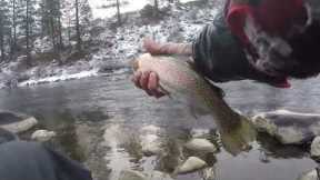 Fly Fishing the Truckee River Before the Snow Starts to Fall (CA)