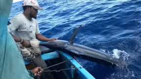Blue Marlin Fishing Catching fish in Indian Ocean Handline Fishing