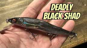 When The Deadly Black Shad Color Outproduces Any Other Color…