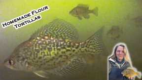 Panfish Feeding Frenzy! Catch and Cook Fish Tacos