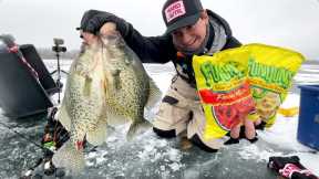 Funyun Fish Catch & Cook! (Ice Fishing 2024)