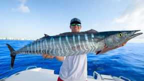 Most PRIZED Deep Sea Fish! Catch Clean Cook Wahoo