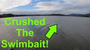 The Fish Were Crushing The Swimbaits! [Primordial Fishing Episode 108]