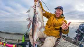 Drift Fishing for Deep Winter Catfish