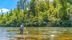 Fly Fishing for Big Backcountry Trout (New Zealand)