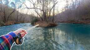 Winter Fly Fishing in NC for BIG Trout (NC Trout Fishing)