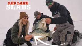 SLAMMING Upper Red Lake CRAPPIES 2024 (Ice Fishing)