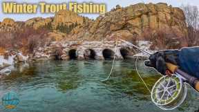 Fly Fishing Harsh Conditions For Trout!! (First Fish of 2024)