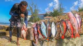 I Shot Some Nice Fish Today | Snappers Lion Fish And More... Catch N Cook