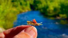 Fly Fishing with Grasshoppers for Brown Trout